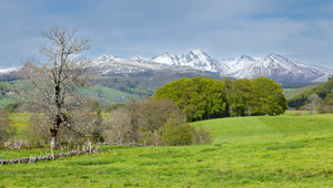 Courtier en Assurance Mont-de-Marsan